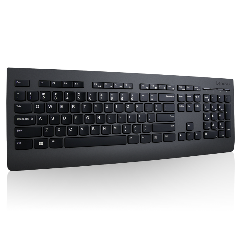 Lenovo Professional Wireless Combo Keyboard & Mouse (US English)
