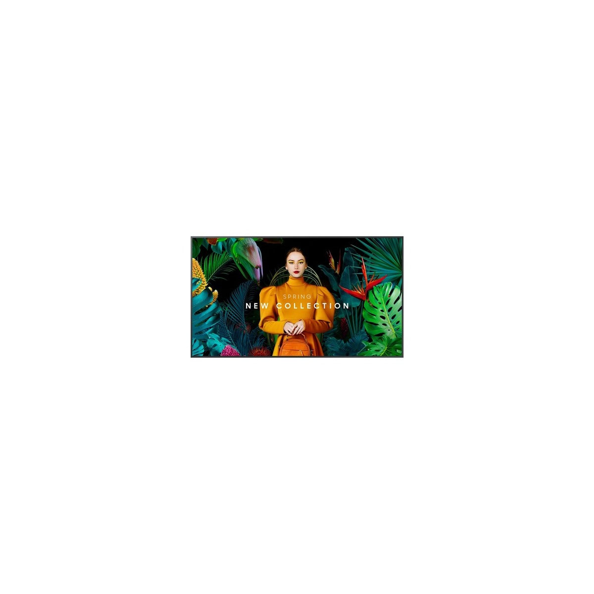 Samsung QM50C 50" 4K Professional Display