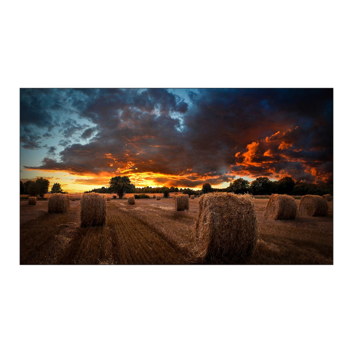 Samsung VM55B-U 55" Video Wall Display